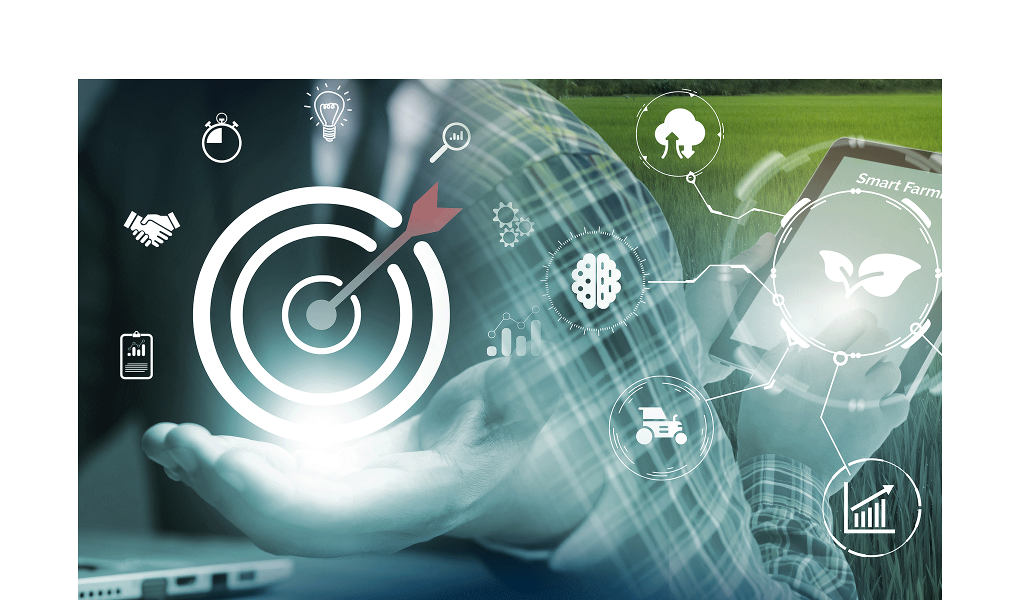 Efficienza, produttività, sostenibilità: gli impatti delle soluzioni digitali in agricoltura