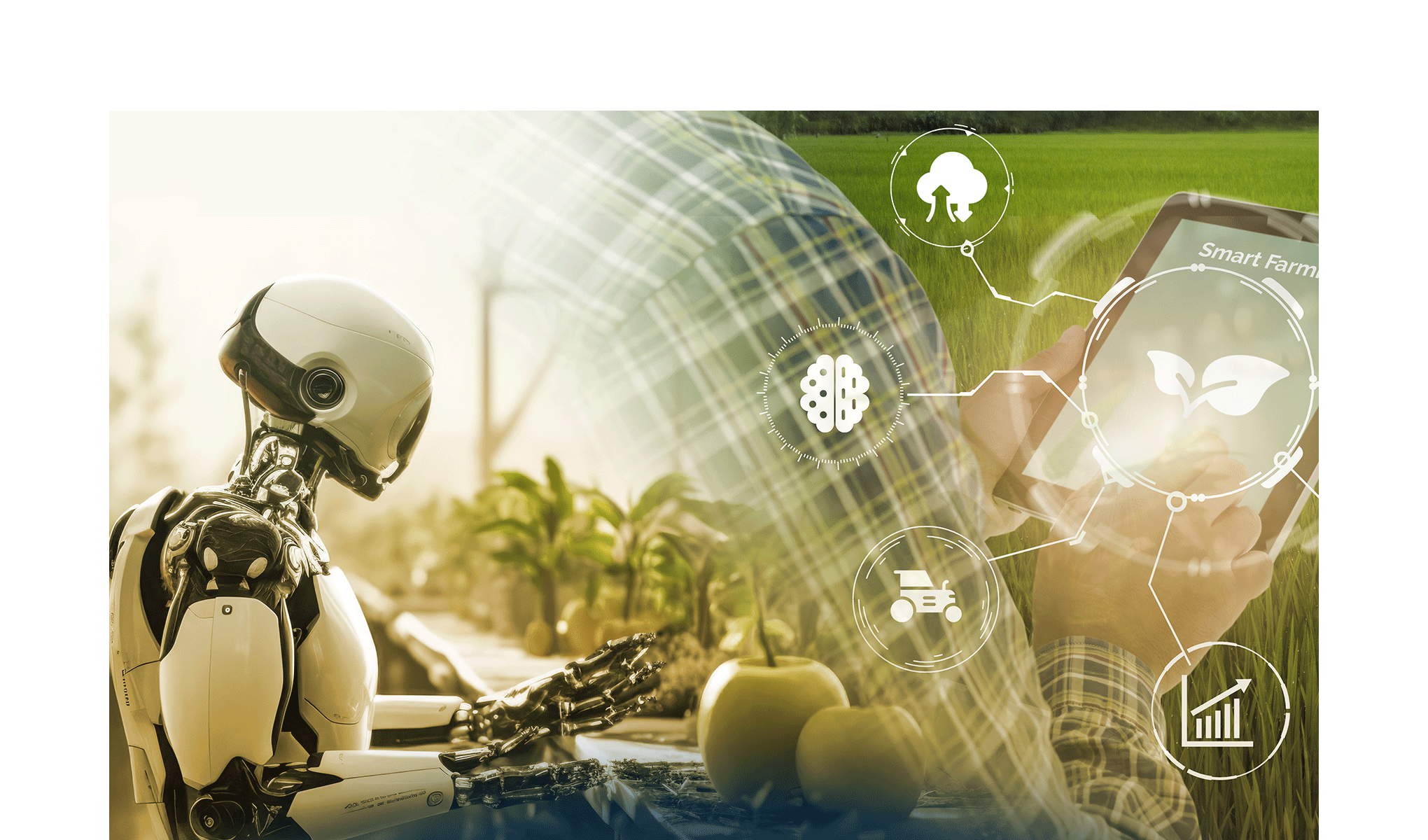 Agroalimentare e tecnologie digitali: quali opportunità per il futuro?