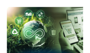 La sostenibilità ambientale (e non solo) nell’eCommerce B2c