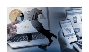 I comparti merceologici dell’eCommerce B2c e le tendenze evolutive