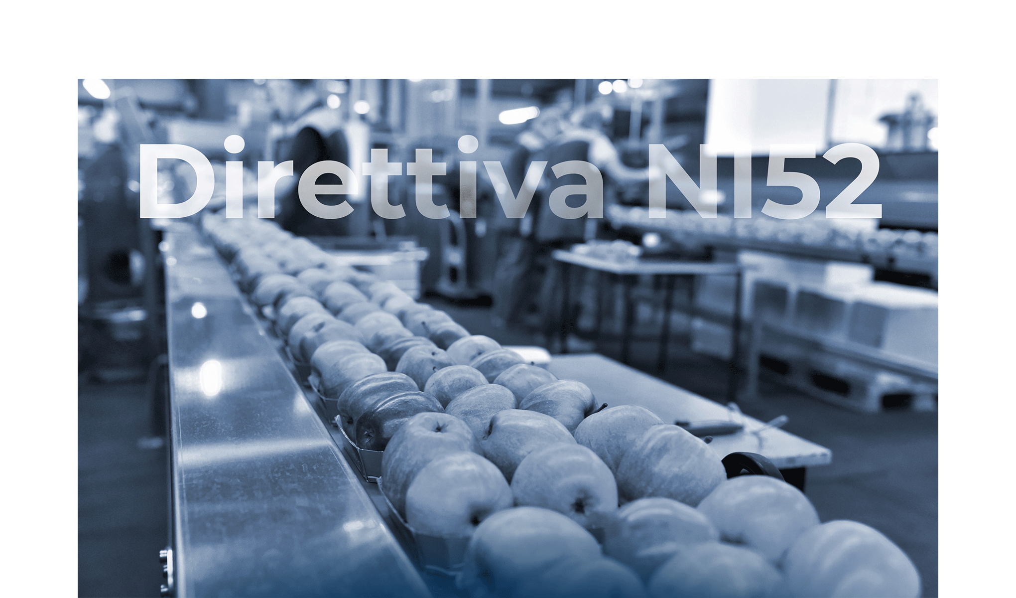 Applicabilità della Direttiva NIS2 al settore alimentare