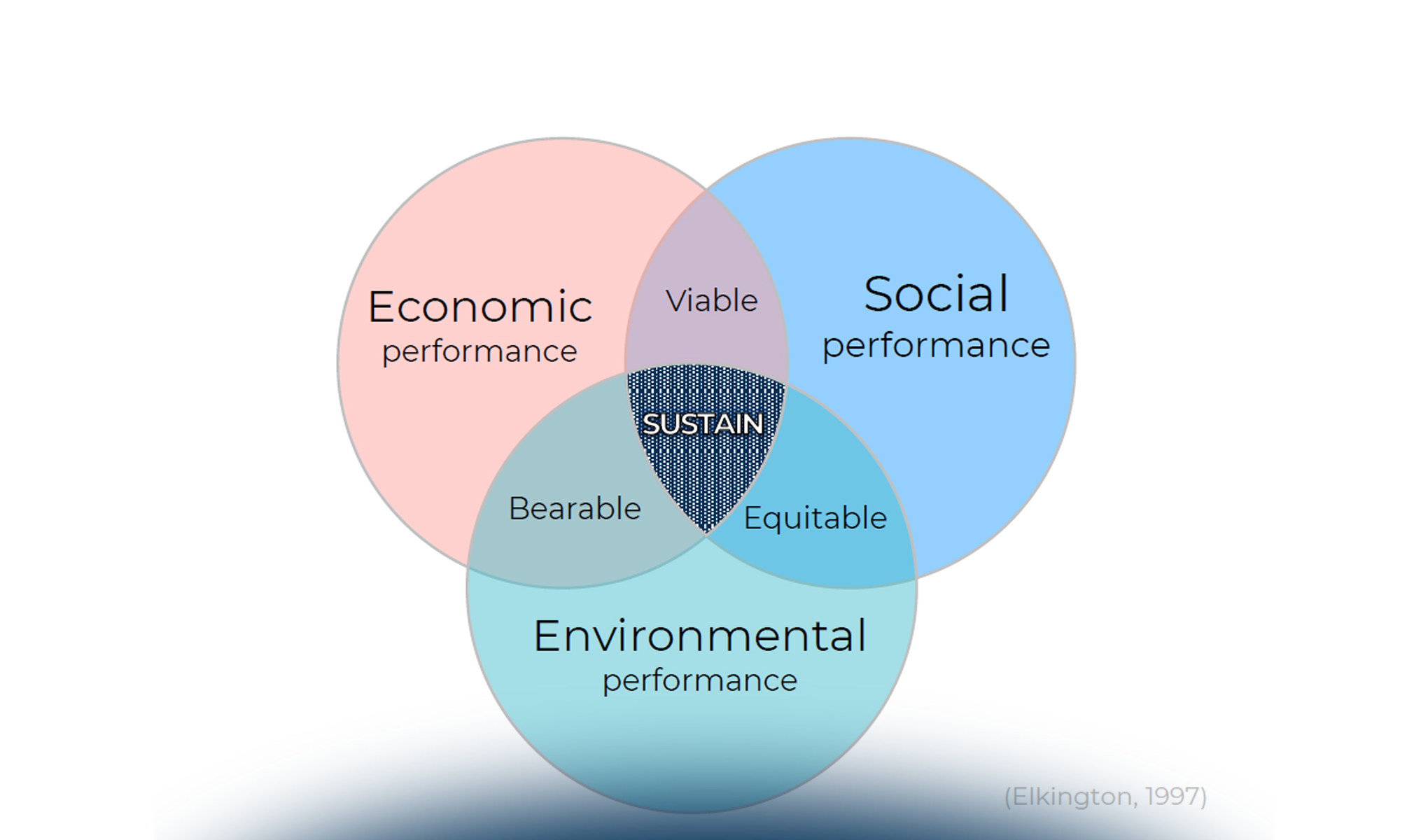 AI per la sostenibilità ambientale e per la società: il punto di vista di imprese e consumatori