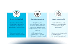 Carbon farming: quale futuro per il settore?
