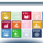 Le startup puntano ai dati e alla circolarità per un sistema agroalimentare più sostenibile