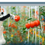 Smart Agrifood: quali impatti dall’Innovazione Digitale? (2024)